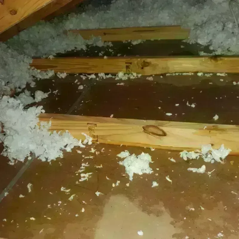 Attic Water Damage in Marlborough, MA